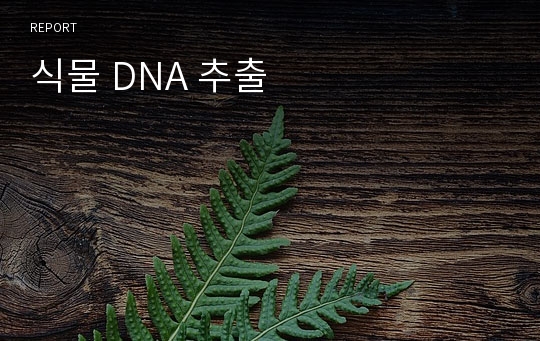 식물 DNA 추출