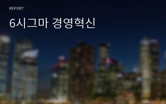 6시그마 경영혁신