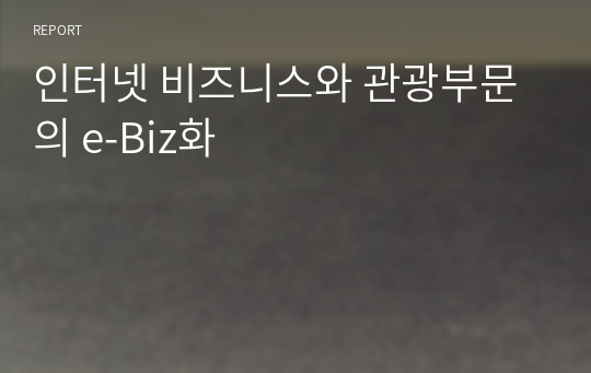 인터넷 비즈니스와 관광부문의 e-Biz화