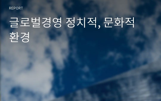 글로벌경영 정치적, 문화적 환경