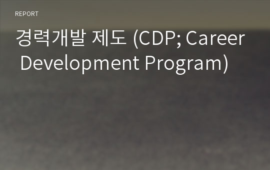 경력개발 제도 (CDP; Career Development Program)