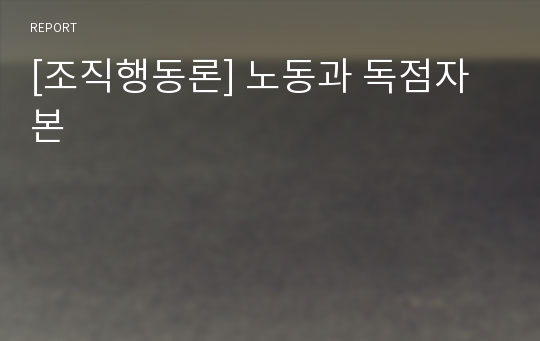 [조직행동론] 노동과 독점자본