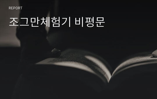 조그만체험기 비평문