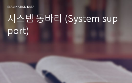 시스템 동바리 (System support)