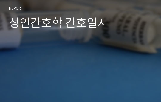 성인간호학 간호일지