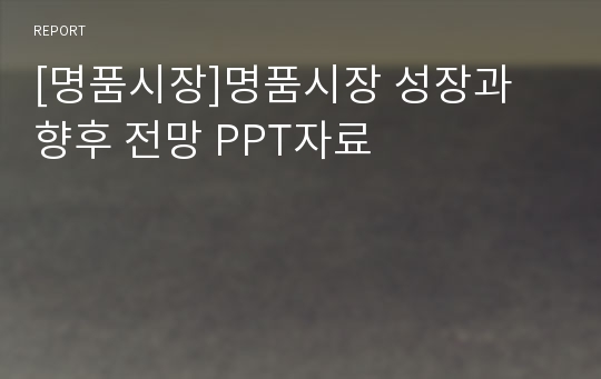 [명품시장]명품시장 성장과 향후 전망 PPT자료