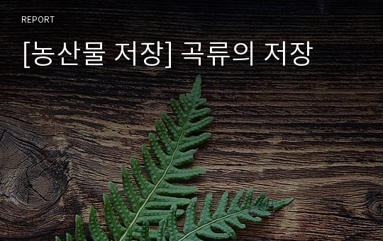 [농산물 저장] 곡류의 저장