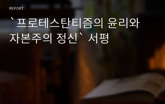 `프로테스탄티즘의 윤리와 자본주의 정신` 서평