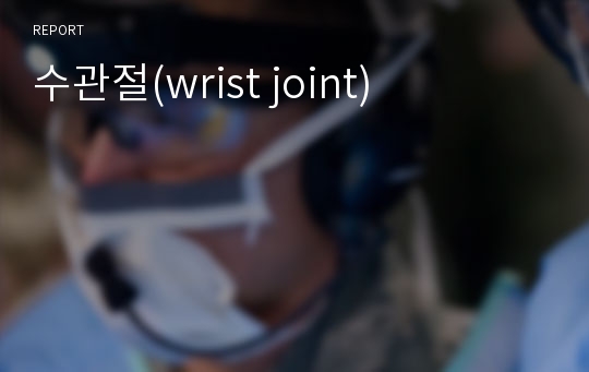 수관절(wrist joint)