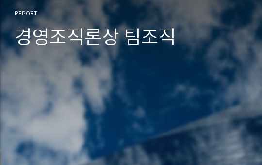 경영조직론상 팀조직