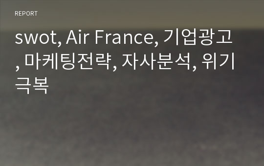 swot, Air France, 기업광고, 마케팅전략, 자사분석, 위기극복