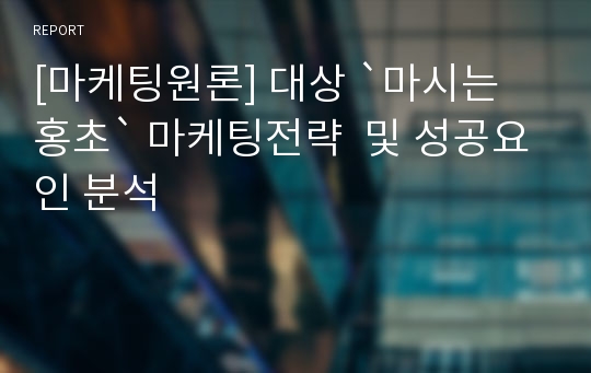 [마케팅원론] 대상 `마시는 홍초` 마케팅전략  및 성공요인 분석