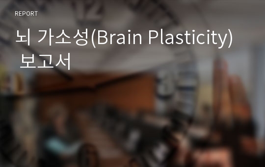 뇌 가소성(Brain Plasticity) 보고서