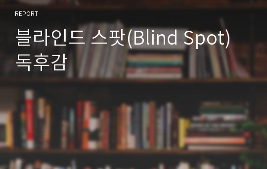 블라인드 스팟(Blind Spot) 독후감