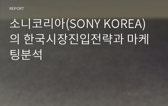 소니코리아(SONY KOREA)의 한국시장진입전략과 마케팅분석