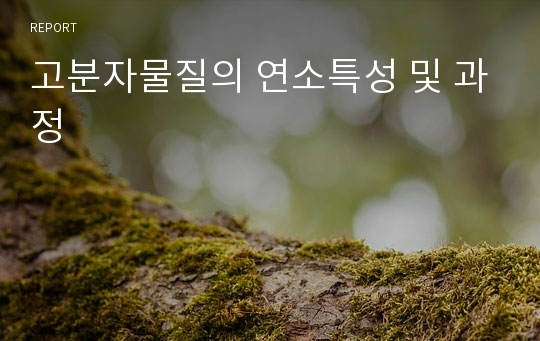 고분자물질의 연소특성 및 과정