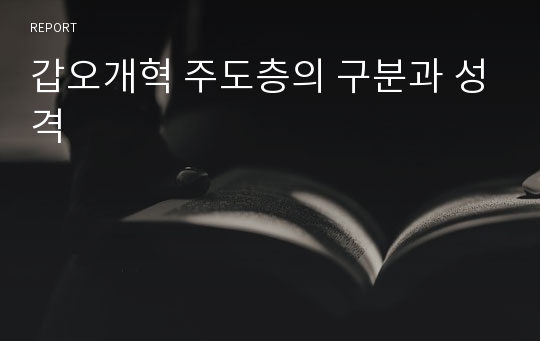 갑오개혁 주도층의 구분과 성격