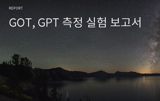 GOT, GPT 측정 실험 보고서