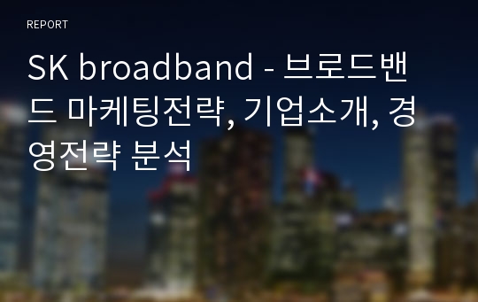 SK broadband - 브로드밴드 마케팅전략, 기업소개, 경영전략 분석