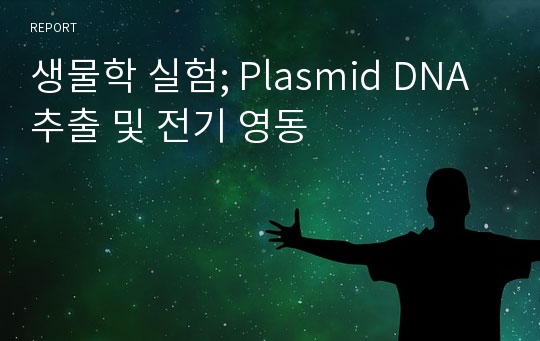 생물학 실험; Plasmid DNA 추출 및 전기 영동