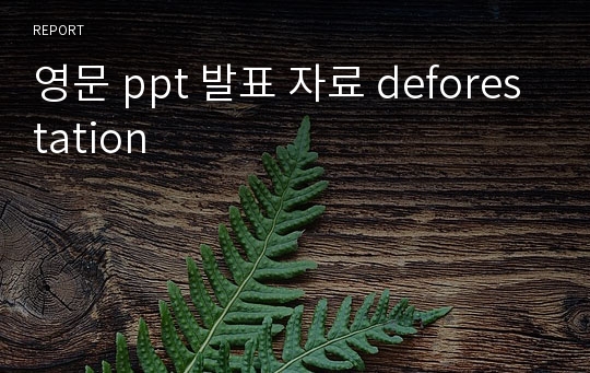 영문 ppt 발표 자료 deforestation