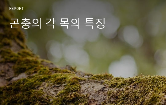 곤충의 각 목의 특징