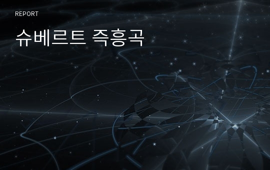 슈베르트 즉흥곡