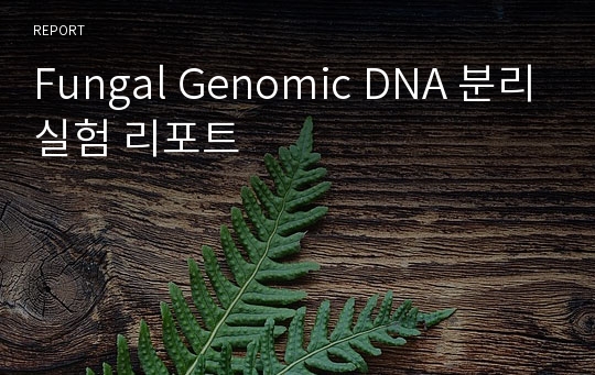 Fungal Genomic DNA 분리실험 리포트