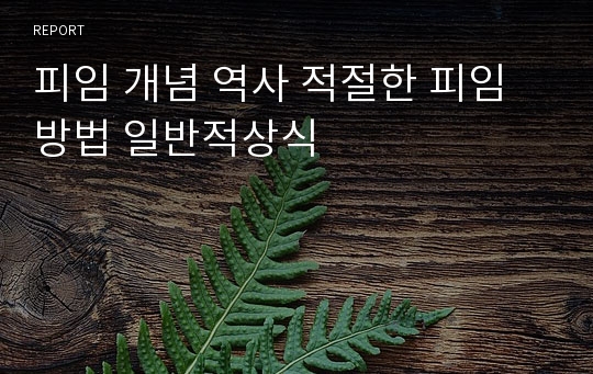 피임 개념 역사 적절한 피임방법 일반적상식