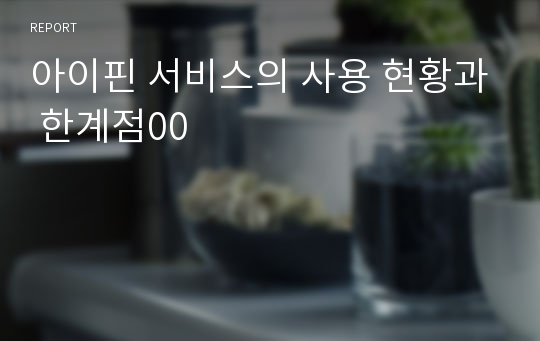 아이핀 서비스의 사용 현황과 한계점00