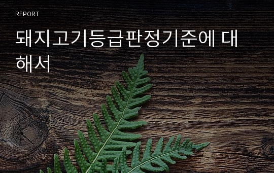 돼지고기등급판정기준에 대해서