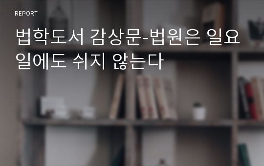 법학도서 감상문-법원은 일요일에도 쉬지 않는다