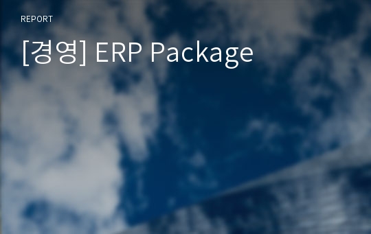 [경영] ERP Package