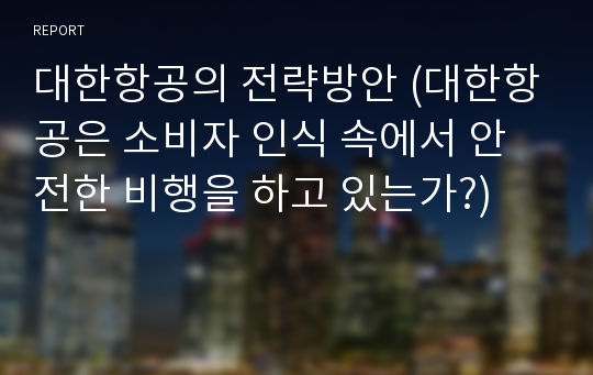 대한항공의 전략방안 (대한항공은 소비자 인식 속에서 안전한 비행을 하고 있는가?)