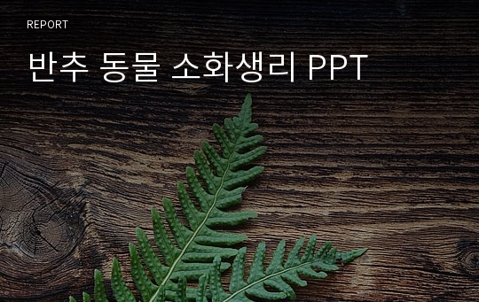 반추 동물 소화생리 PPT