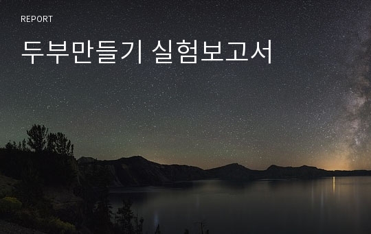 두부만들기 실험보고서