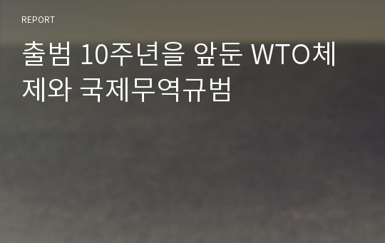 출범 10주년을 앞둔 WTO체제와 국제무역규범