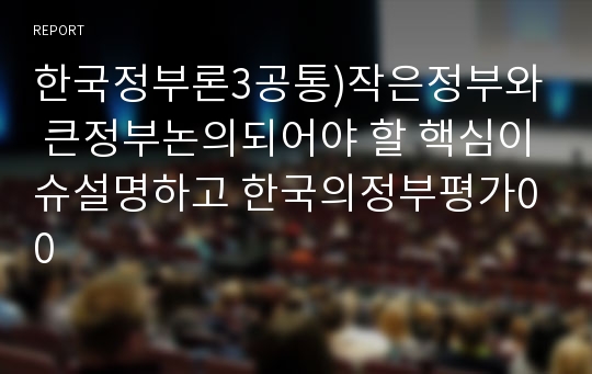 한국정부론3공통)작은정부와 큰정부논의되어야 할 핵심이슈설명하고 한국의정부평가00