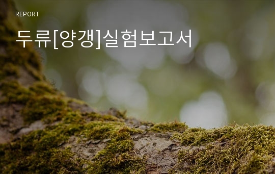 두류[양갱]실험보고서