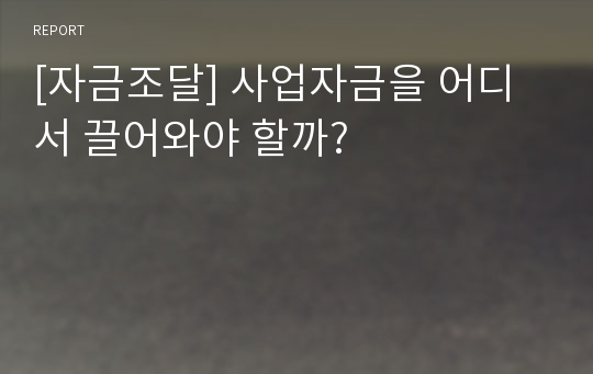 [자금조달] 사업자금을 어디서 끌어와야 할까?