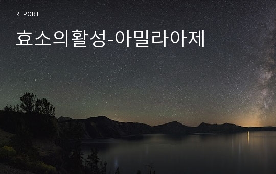 효소의활성-아밀라아제