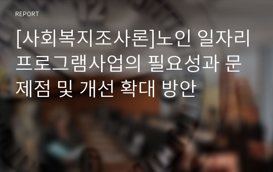 [사회복지조사론]노인 일자리프로그램사업의 필요성과 문제점 및 개선 확대 방안