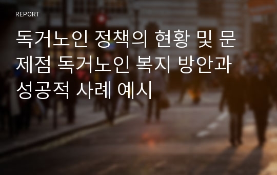 독거노인 정책의 현황 및 문제점 독거노인 복지 방안과 성공적 사례 예시