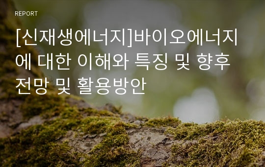 [신재생에너지]바이오에너지에 대한 이해와 특징 및 향후 전망 및 활용방안