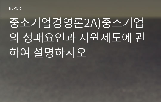 중소기업경영론2A)중소기업의 성패요인과 지원제도에 관하여 설명하시오