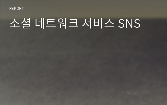 소셜 네트워크 서비스 SNS