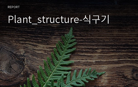 Plant_structure-식구기