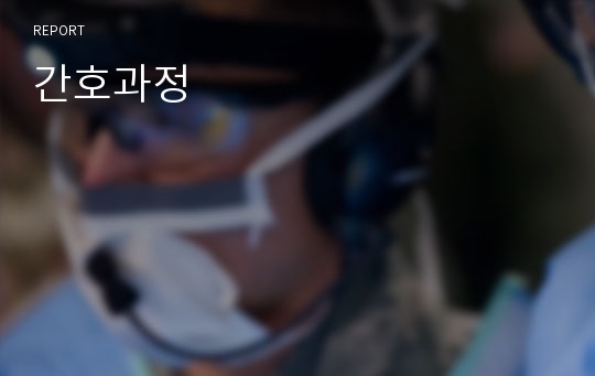 간호과정