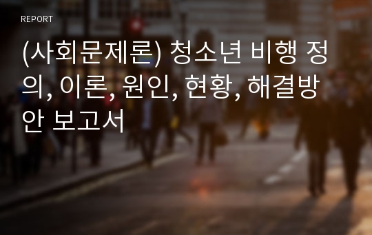 (사회문제론) 청소년 비행 정의, 이론, 원인, 현황, 해결방안 보고서