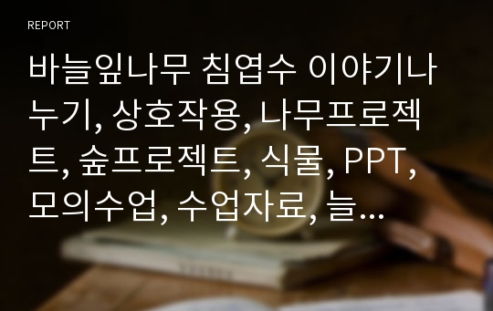 바늘잎나무 침엽수 이야기나누기, 상호작용, 나무프로젝트, 숲프로젝트, 식물, PPT, 모의수업, 수업자료, 늘푸른나무, 상록침엽수, 낙엽침엽수, 상록활엽수